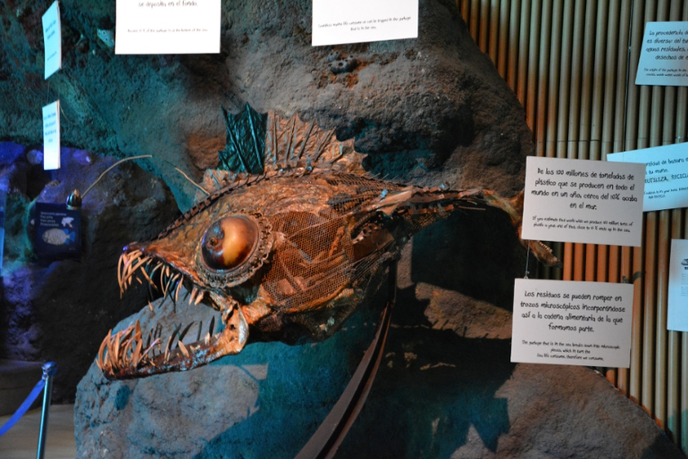 Вернулись из Валенсии