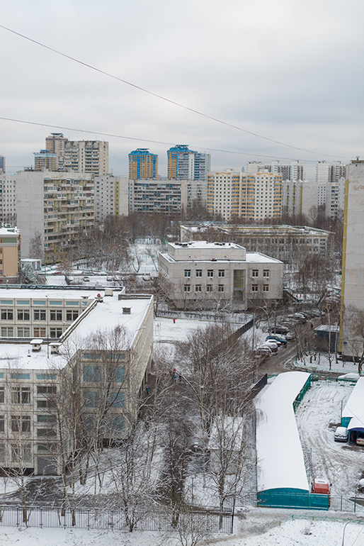В Москву пришла зима