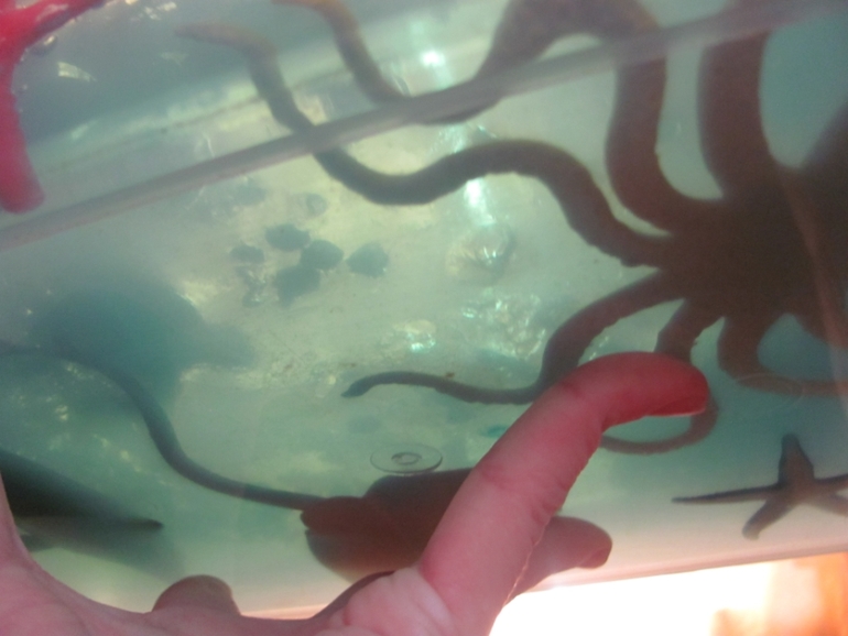 ТН Морские обитатели.