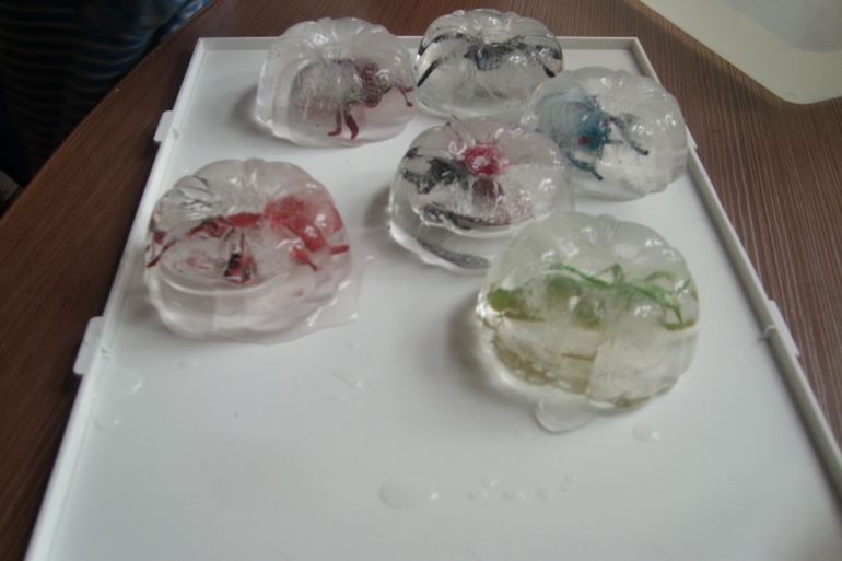 Еще немного про насекомых. Игры и творчество.