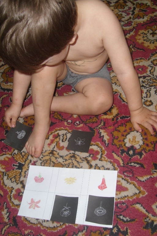 Шичида: Цветное безобразие.