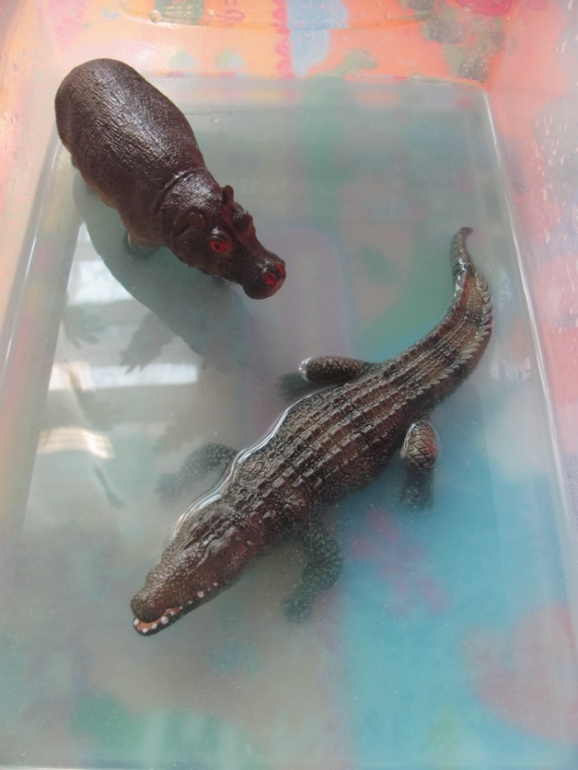 Природные зоны Африки.(Немного сенсорных коробочек)