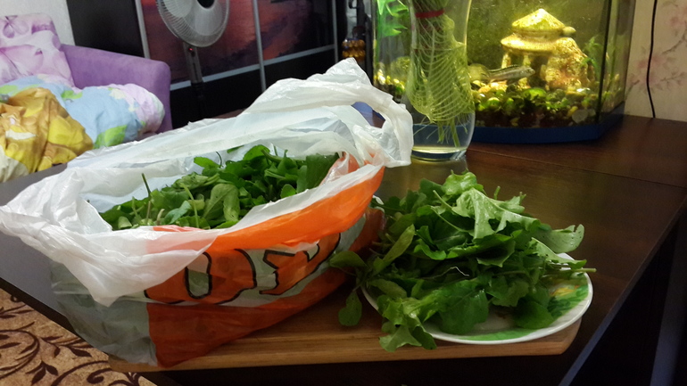 Мама психанула ))))