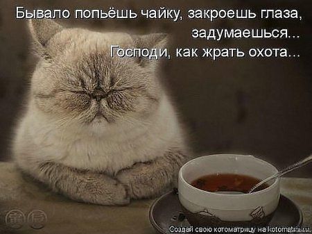 насмешило..