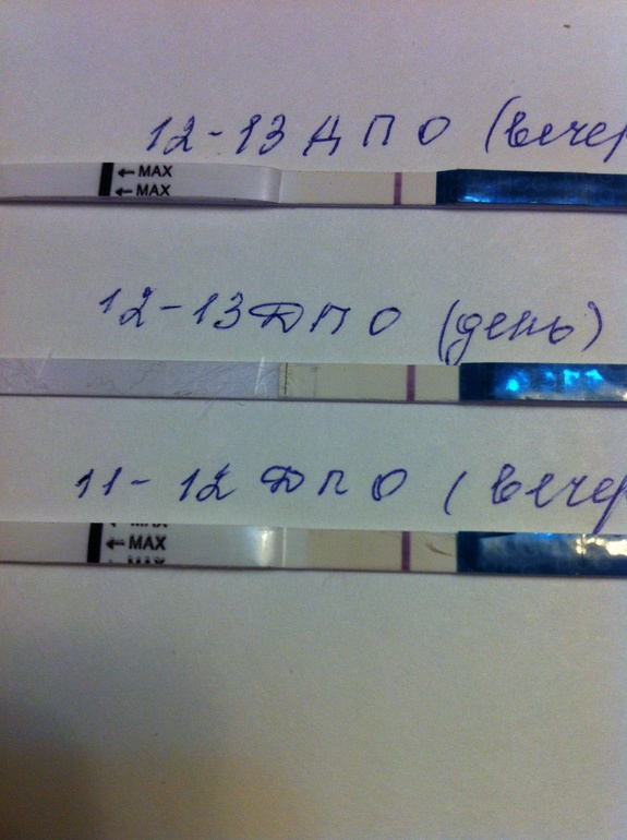 Все закончилось не успев начаться.