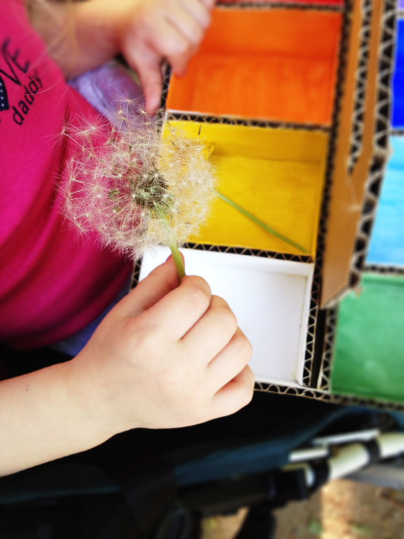 Цветовая коробочка