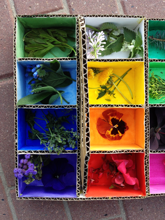 Цветовая коробочка