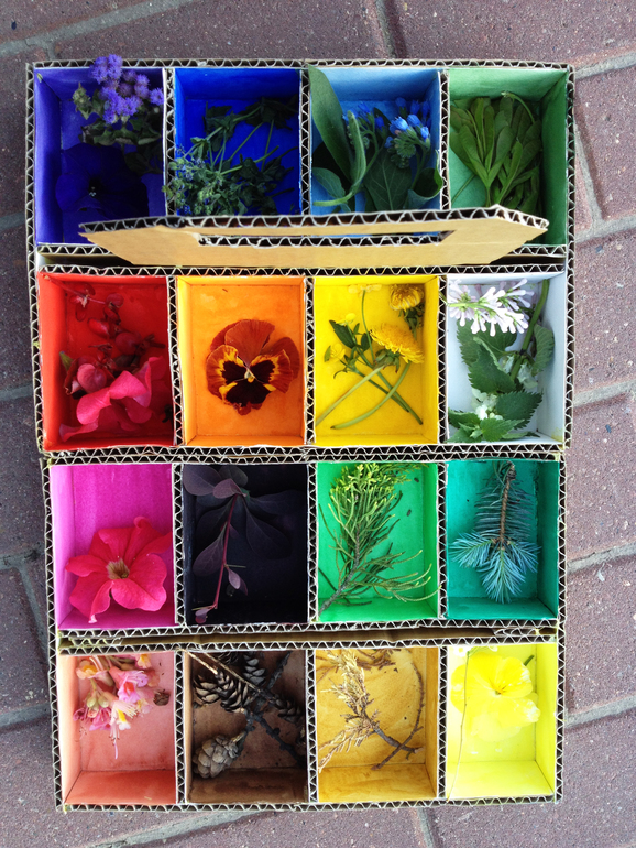 Цветовая коробочка