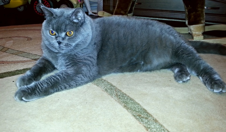 Рон Джеймс Дио)))