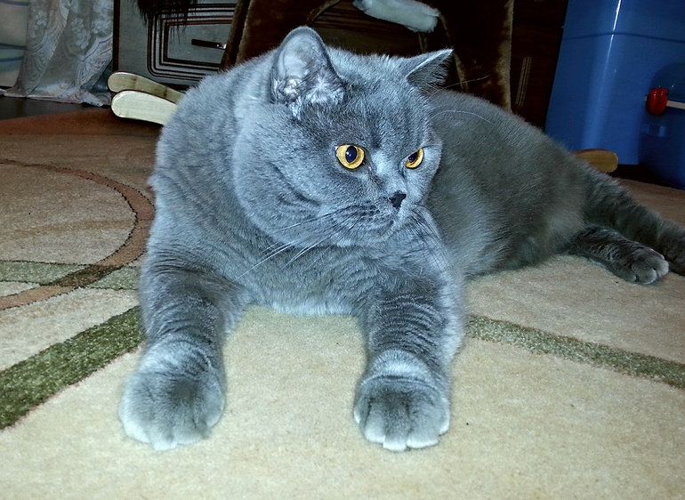 Рон Джеймс Дио)))