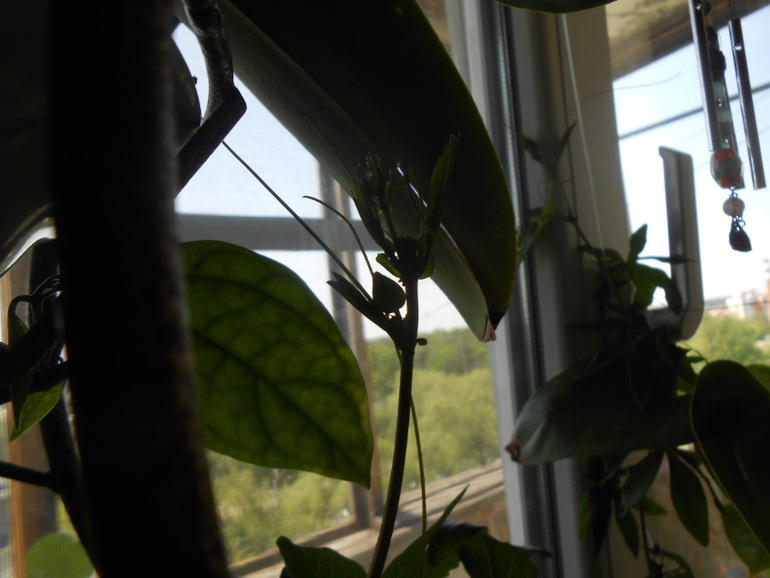 Вопросики.)