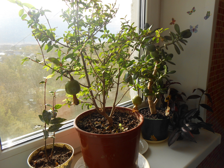 И не краснеет...)))