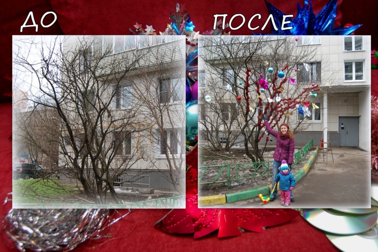 Наша вишня-ёлка