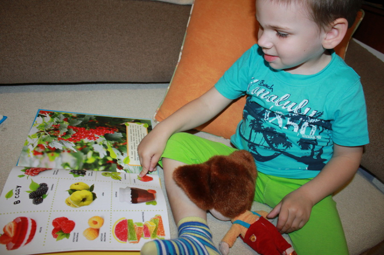 ТН "Ягоды" - отчет. День 4 - вишня.