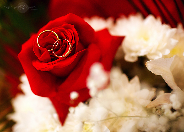 Свадьба Анны и Алексея