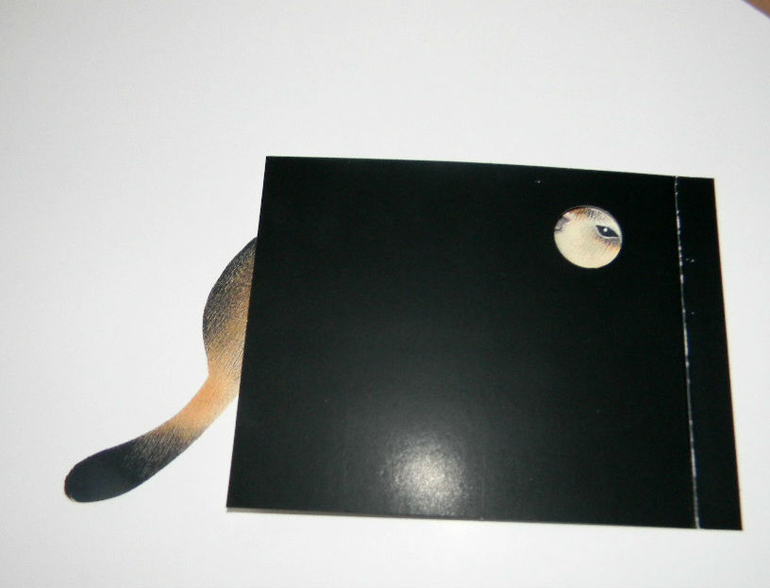 ЖИНЕВОТЫ -мой отзыв о книге...