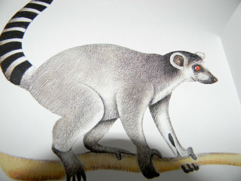 ЖИНЕВОТЫ -мой отзыв о книге...