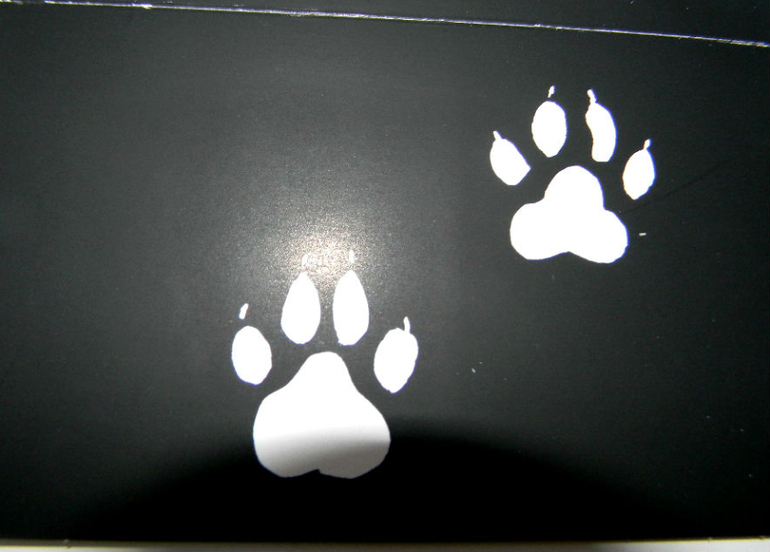 ЖИНЕВОТЫ -мой отзыв о книге...