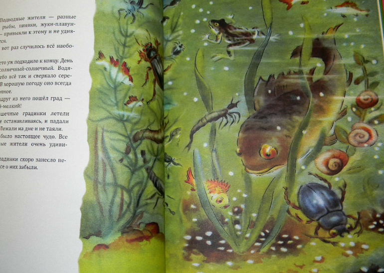 "Репортаж со стадиона Жукамо"