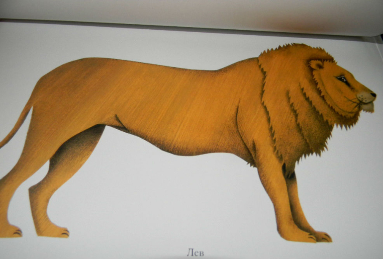 ЖИНЕВОТЫ -мой отзыв о книге...