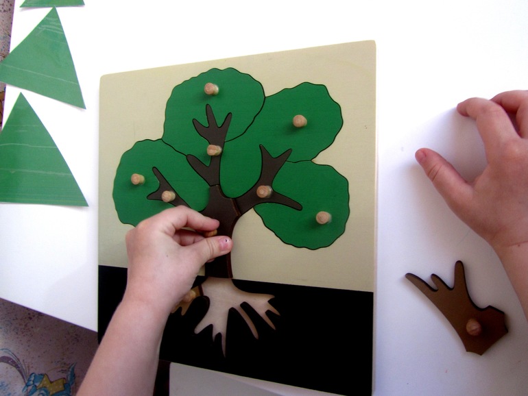 ТЗ Красная шапочка