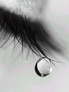 32d93cf8b72ddfe4977babab9e67fff8.jpg