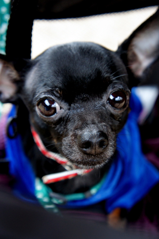 Грустно так...