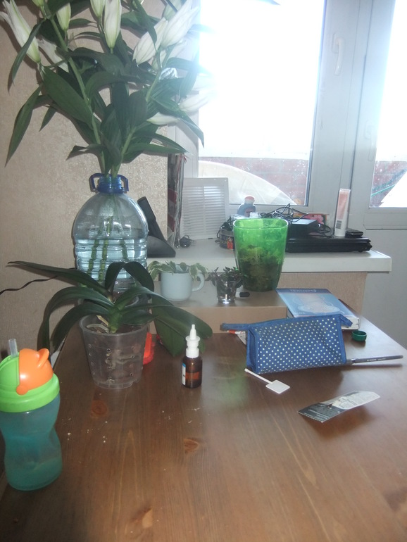 Взлёт 72. День 6