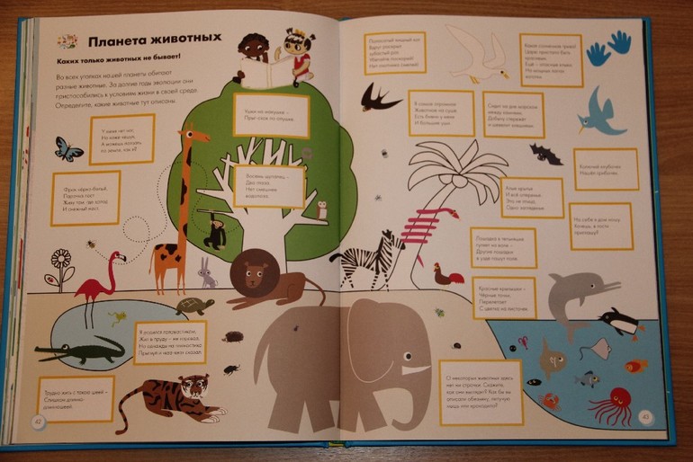 Мой большой мир