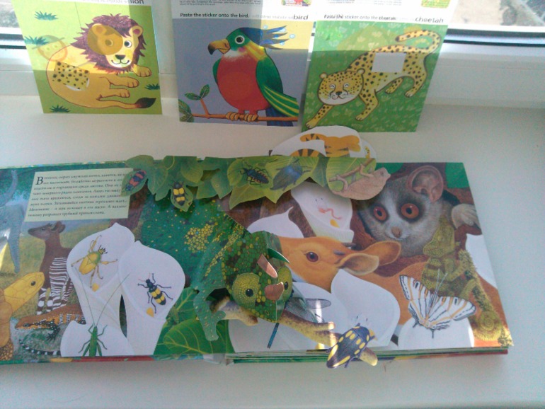 Путешествие в Африку!