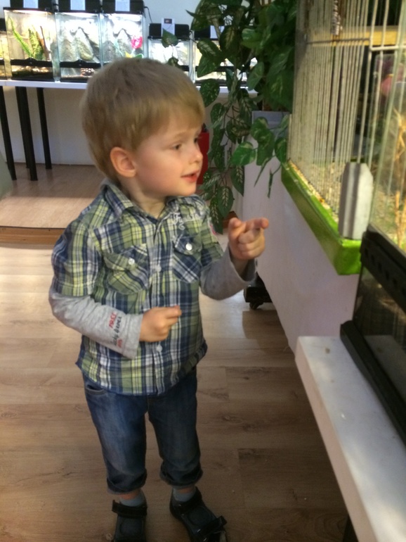 Выставка насекомых