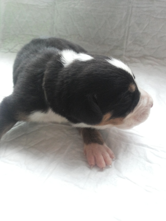 Наши детки подросли...