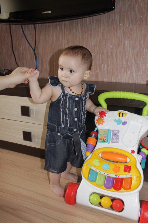 Сегодня получили посылочку Bebus