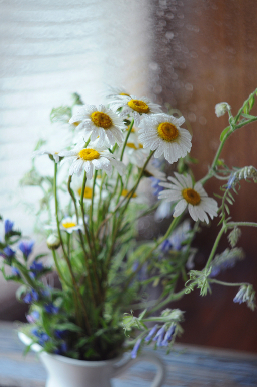 мануальные объективы, первые пробы Helios44-2