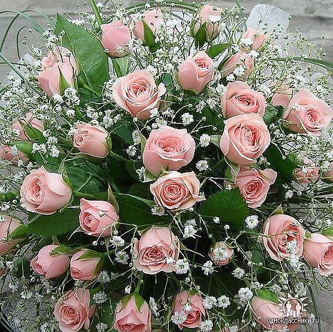 92cd50fe46fb705ebfe7c937c1a30c77.jpg