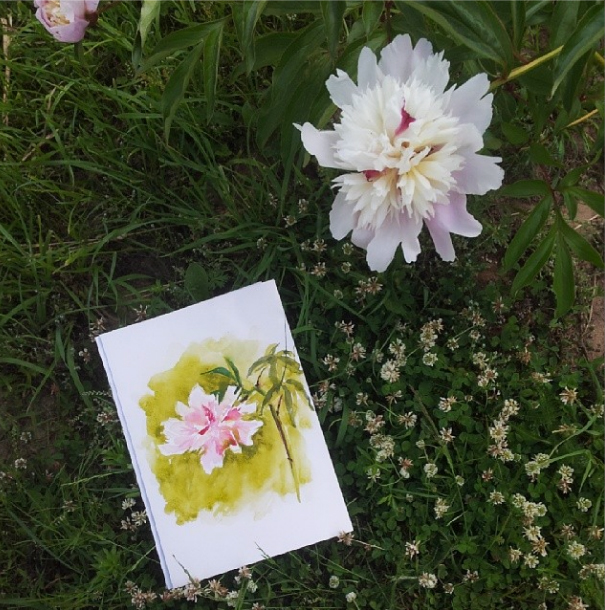 Из инстаграма