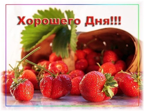 d88b358f2098ff0da4386f89710aa2d3.jpg