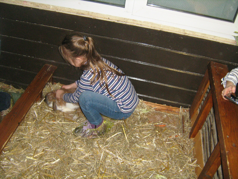 Контактный зоопарк на ВДНХ