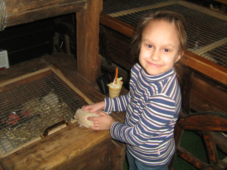 Контактный зоопарк на ВДНХ