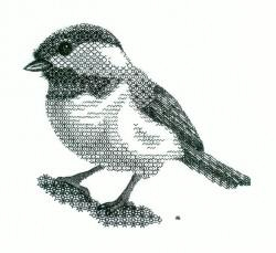 Блэкворк - отчет № 2