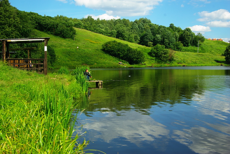 Село ромашково. Ромашково Московская область. Ромашково пруд. Ромашково Московская область парк. Маленькая Голландия Ромашково.