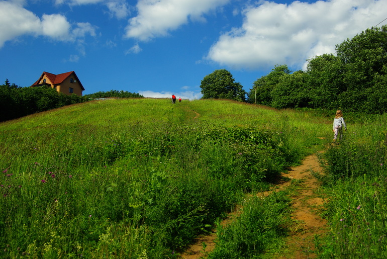 Ромашково 29.06.2014