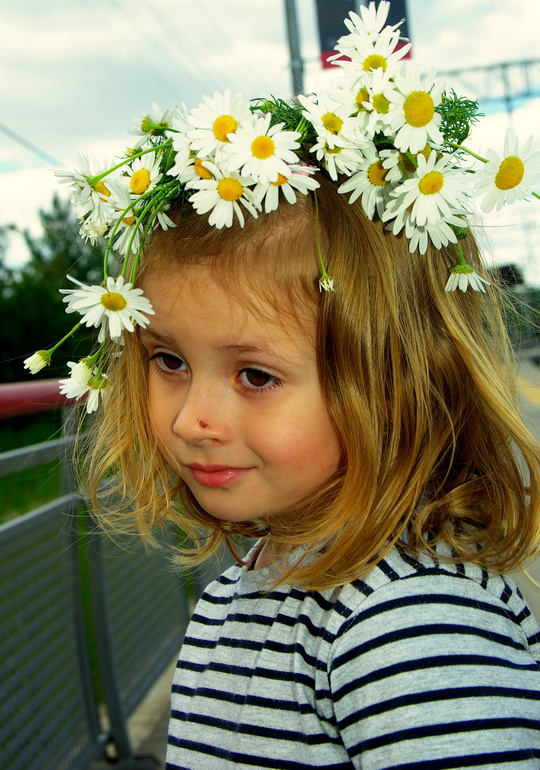 Ромашково 29.06.2014