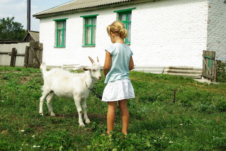 Теплые денечки августа)