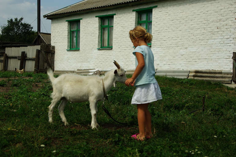 Теплые денечки августа)