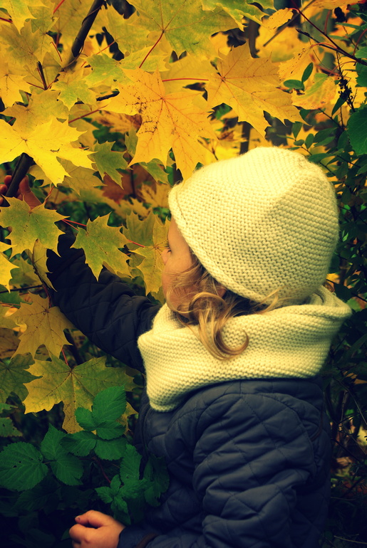 d81b25f329c09a780b2eba51da2a25a4.jpg