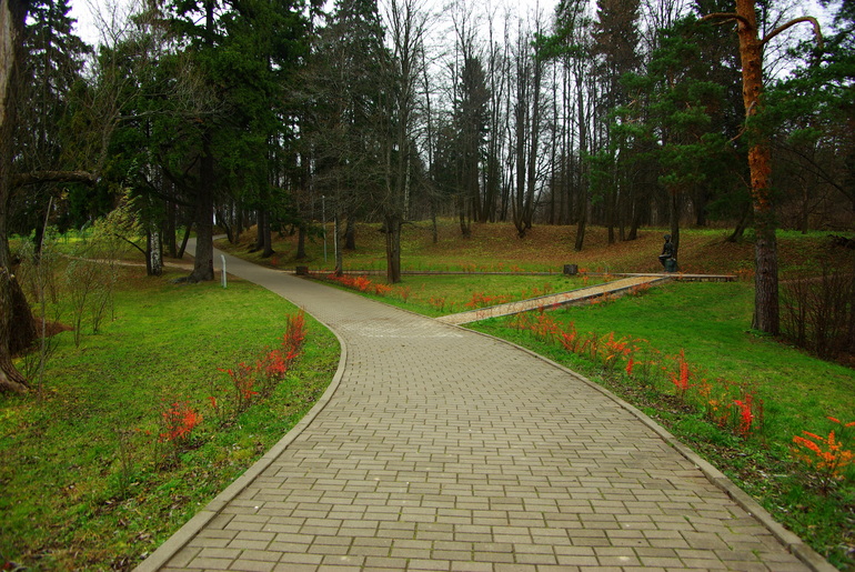 Захарово 31.10.13 ..природа засыпает..