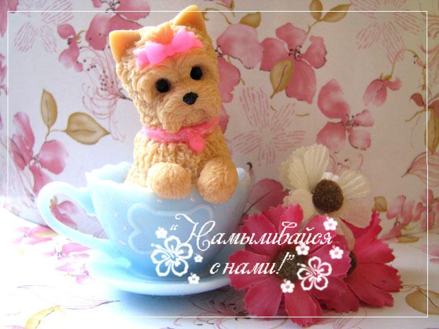 Из последнего