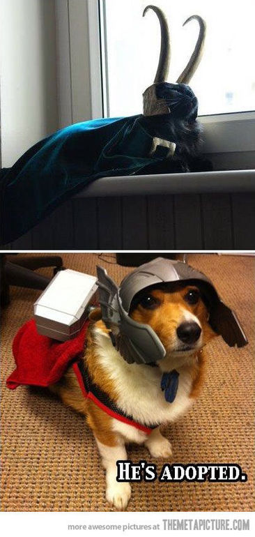 фанатское (  иф ю спик ин инглиш)