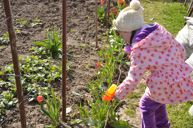Хорошо у бабушки отдыхать.